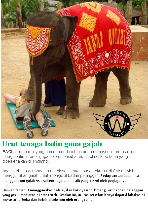 Urut tenaga batin guna gajah BAGI orang ramai yang gemar mendapatkan urutan tradisonal termasuk