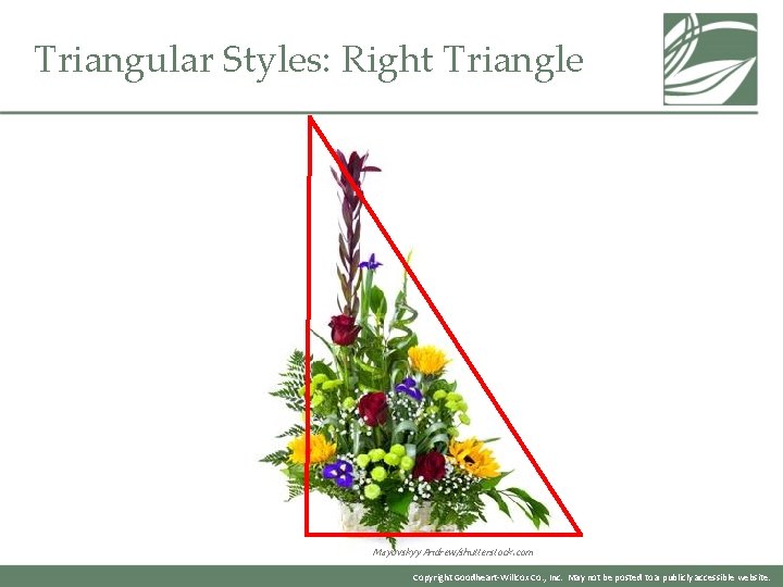 Triangular Styles: Right Triangle Mayovskyy Andrew/shutterstock. com Copyright Goodheart-Willcox Co. , Inc. May not