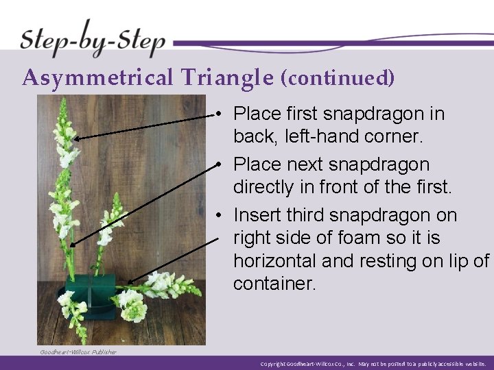 Asymmetrical Triangle (continued) • Place first snapdragon in back, left-hand corner. • Place next