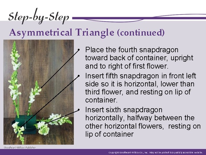 Asymmetrical Triangle (continued) • Place the fourth snapdragon toward back of container, upright and Asymmetrical Triangle (continued) • Place the fourth snapdragon toward back of container, upright and