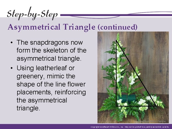 Asymmetrical Triangle (continued) • The snapdragons now form the skeleton of the asymmetrical triangle. Asymmetrical Triangle (continued) • The snapdragons now form the skeleton of the asymmetrical triangle.