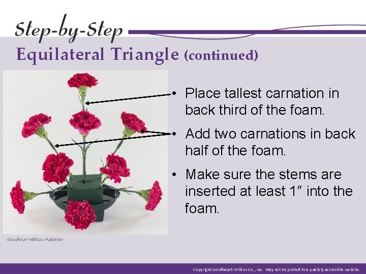 Equilateral Triangle (continued) • Place tallest carnation in back third of the foam. •