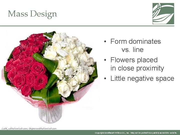 Mass Design • Form dominates vs. line • Flowers placed in close proximity •