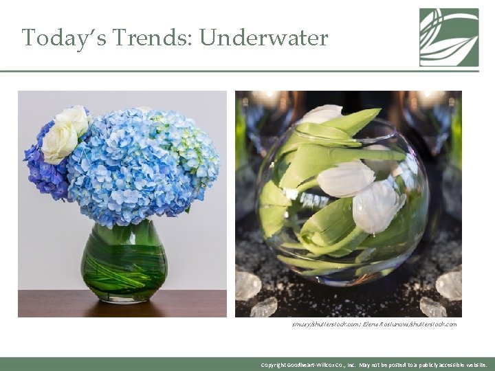 Today’s Trends: Underwater smuay/shutterstock. com; Elena Rostunova/shutterstock. com Copyright Goodheart-Willcox Co. , Inc. May