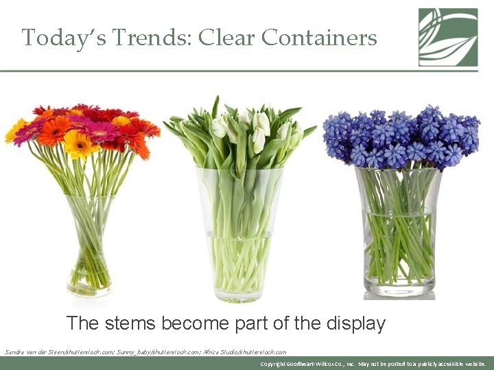 Today’s Trends: Clear Containers The stems become part of the display Sandra van der