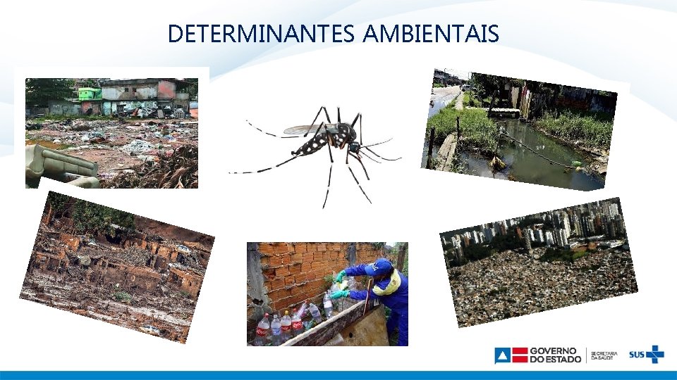 DETERMINANTES AMBIENTAIS 