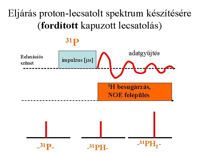 Eljárás proton-lecsatolt spektrum készítésére (fordított kapuzott lecsatolás) 31 P Relaxációs szünet adatgyűjtés impulzus [ms]