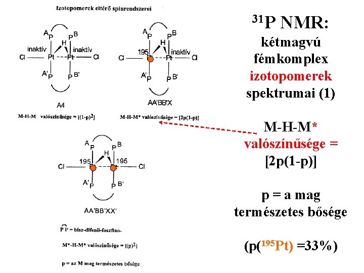 31 P NMR: kétmagvú fémkomplex izotopomerek spektrumai (1) M-H-M* valószínűsége = [2 p(1 -p)]