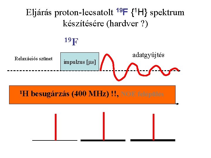 Eljárás proton-lecsatolt 19 F {1 H} spektrum készítésére (hardver ? ) 19 F Relaxációs