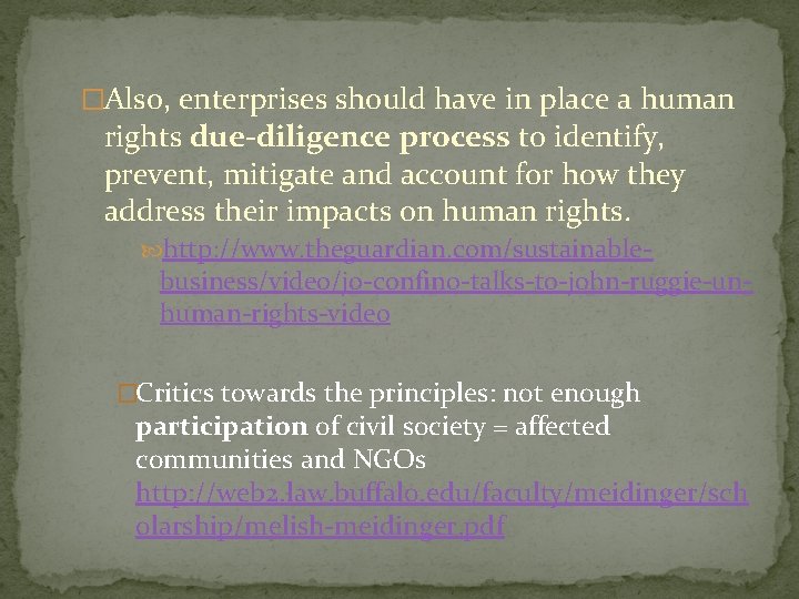  �Also, enterprises should have in place a human rights due-diligence process to identify,