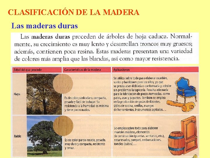 CLASIFICACIÓN DE LA MADERA Las maderas duras 