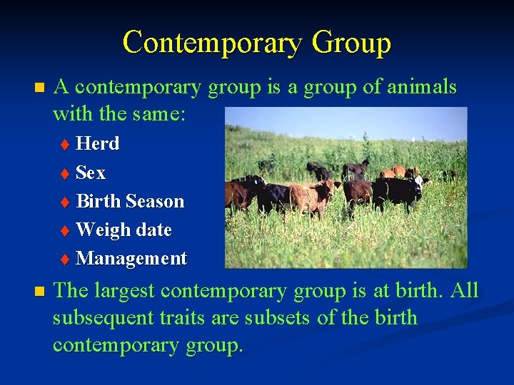 Contemporary Group n A contemporary group is a group of animals with the same: