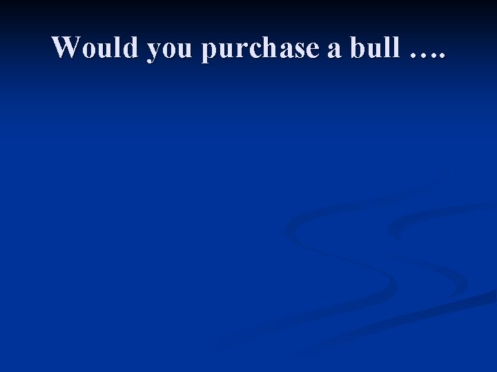 Would you purchase a bull …. 