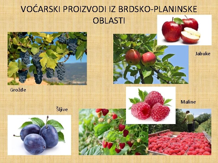 VOĆARSKI PROIZVODI IZ BRDSKO-PLANINSKE OBLASTI Jabuke Grožđe Maline Šljive 