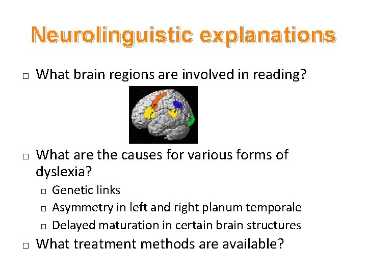 Neurolinguistic explanations � � What brain regions are involved in reading? What are the