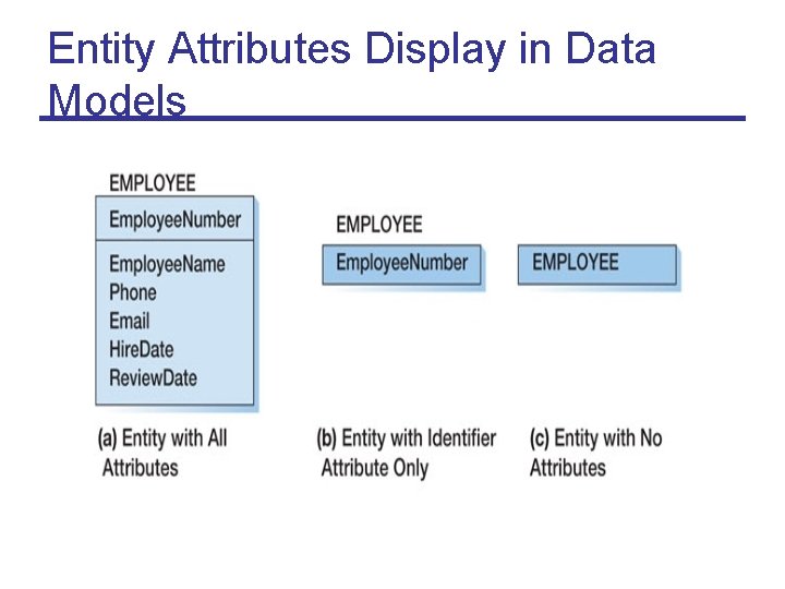 Entity Attributes Display in Data Models 