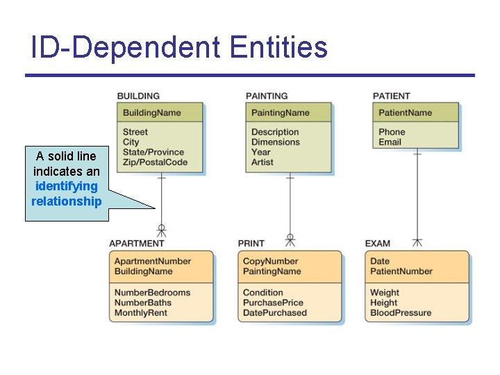 ID-Dependent Entities A solid line indicates an identifying relationship 