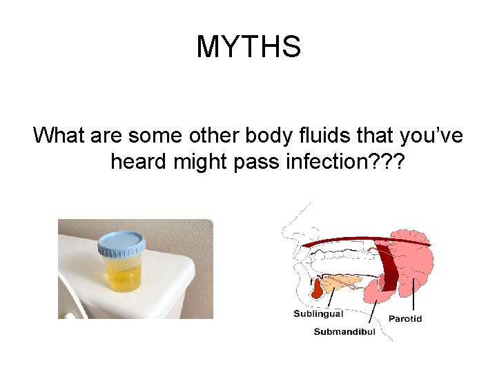 MYTHS What are some other body fluids that you’ve heard might pass infection? ? MYTHS What are some other body fluids that you’ve heard might pass infection? ?