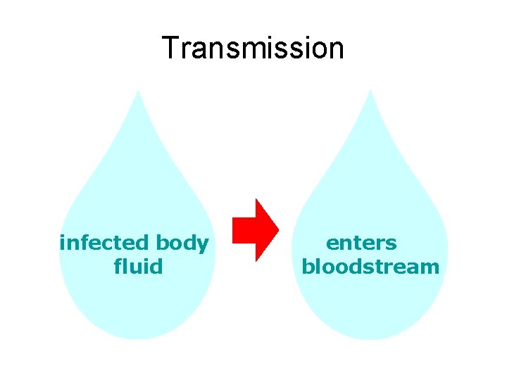 Transmission infected body fluid enters bloodstream 