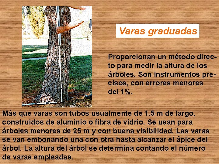 Varas graduadas Proporcionan un método directo para medir la altura de los árboles. Son