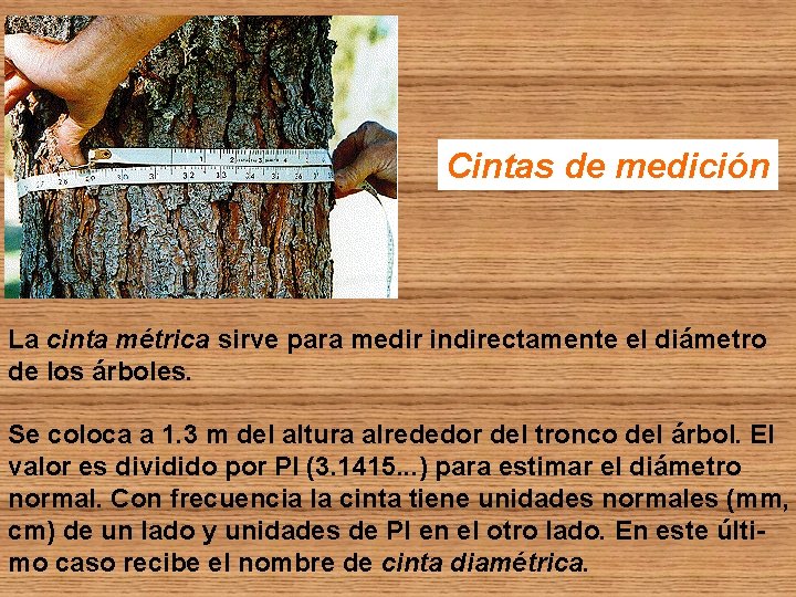 Cintas de medición La cinta métrica sirve para medir indirectamente el diámetro de los