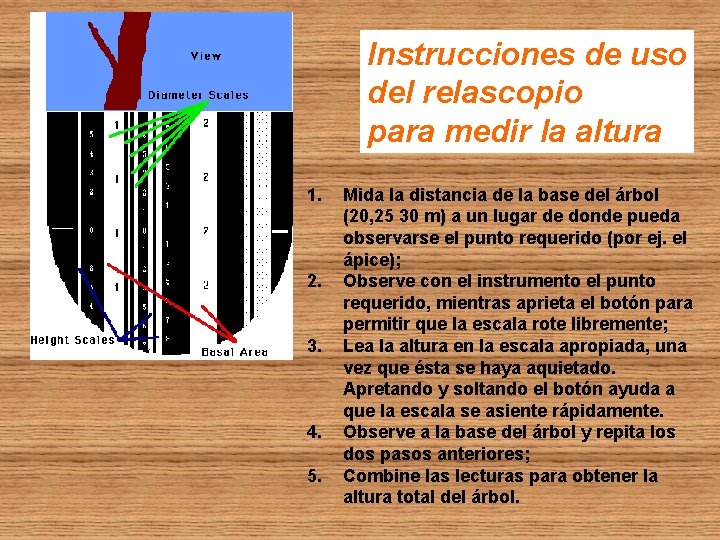 Instrucciones de uso del relascopio para medir la altura 1. 2. 3. 4. 5.