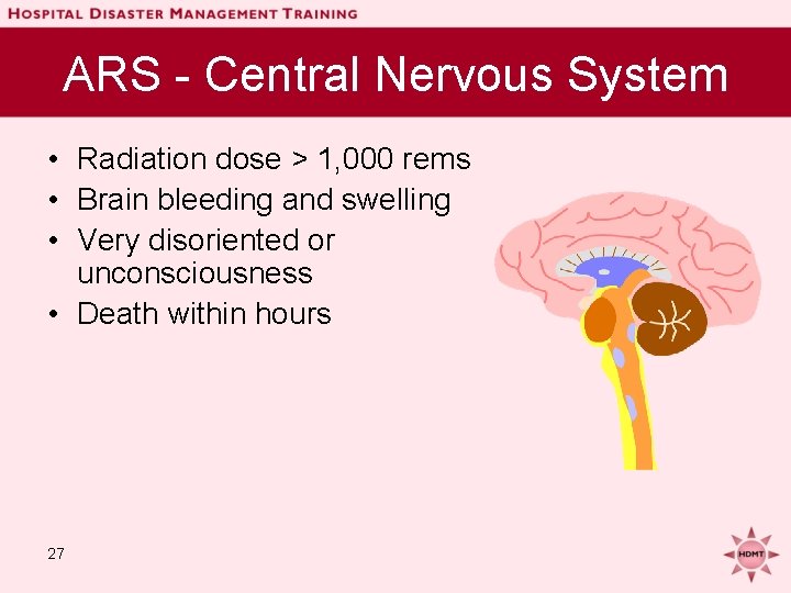 ARS - Central Nervous System • Radiation dose > 1, 000 rems • Brain