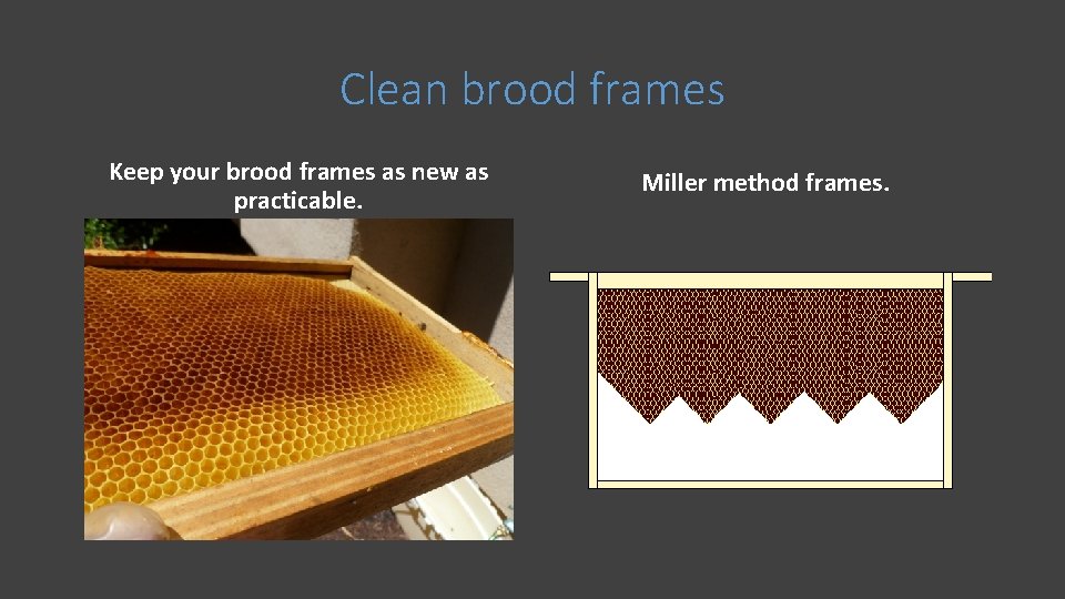 Clean brood frames Keep your brood frames as new as practicable. Miller method frames.