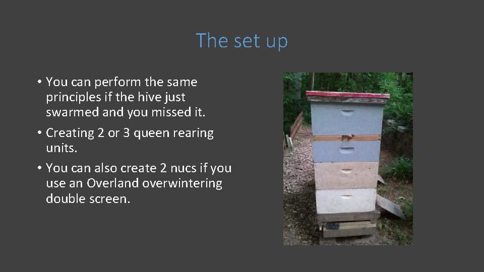 The set up • You can perform the same principles if the hive just
