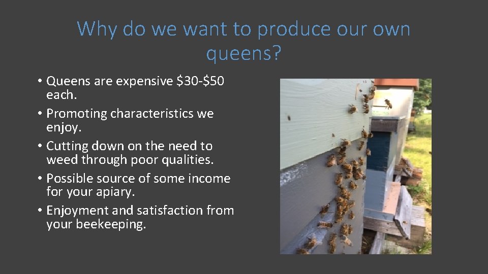 Why do we want to produce our own queens? • Queens are expensive $30