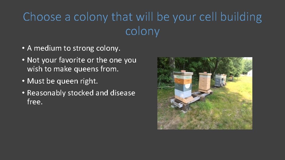Choose a colony that will be your cell building colony • A medium to