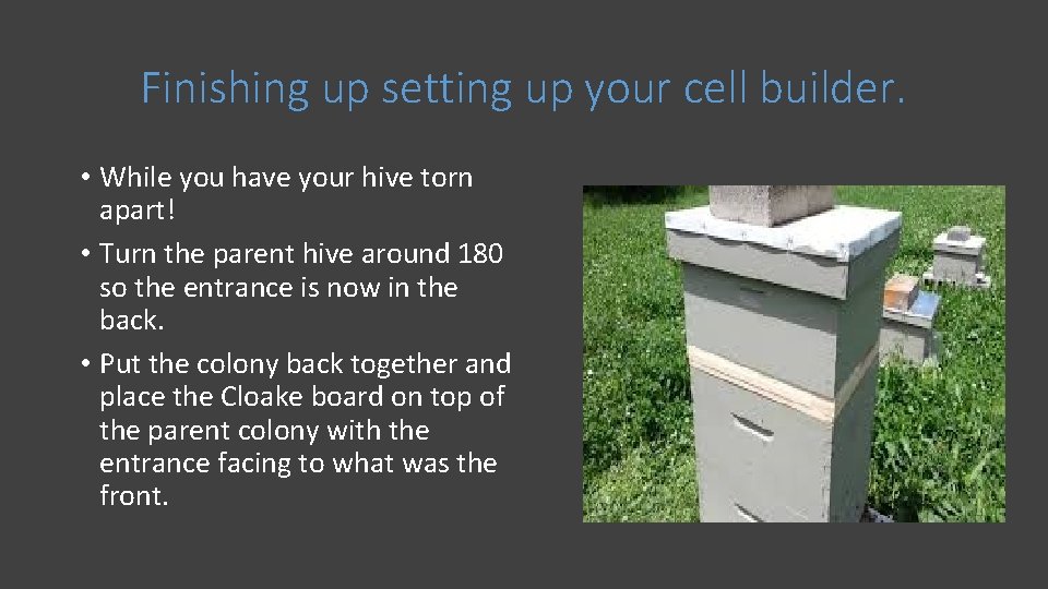 Finishing up setting up your cell builder. • While you have your hive torn
