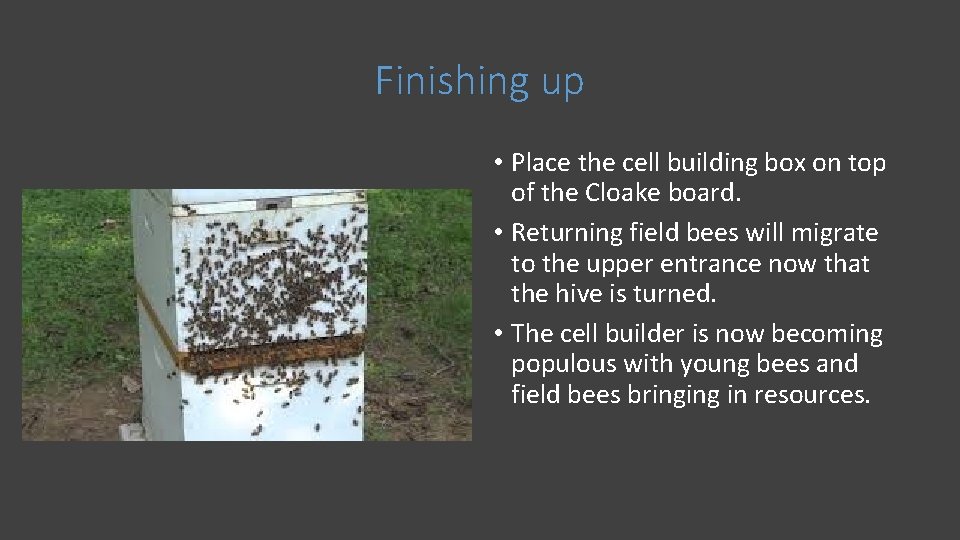 Finishing up • Place the cell building box on top of the Cloake board.