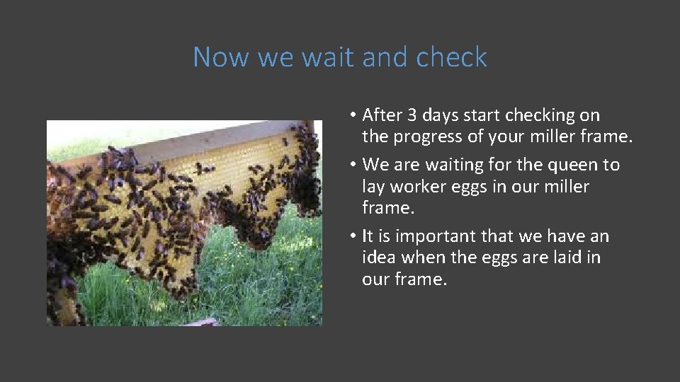 Now we wait and check • After 3 days start checking on the progress