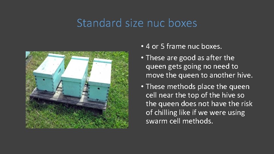 Standard size nuc boxes • 4 or 5 frame nuc boxes. • These are