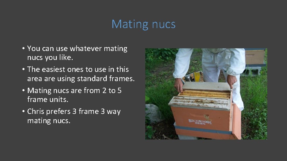 Mating nucs • You can use whatever mating nucs you like. • The easiest