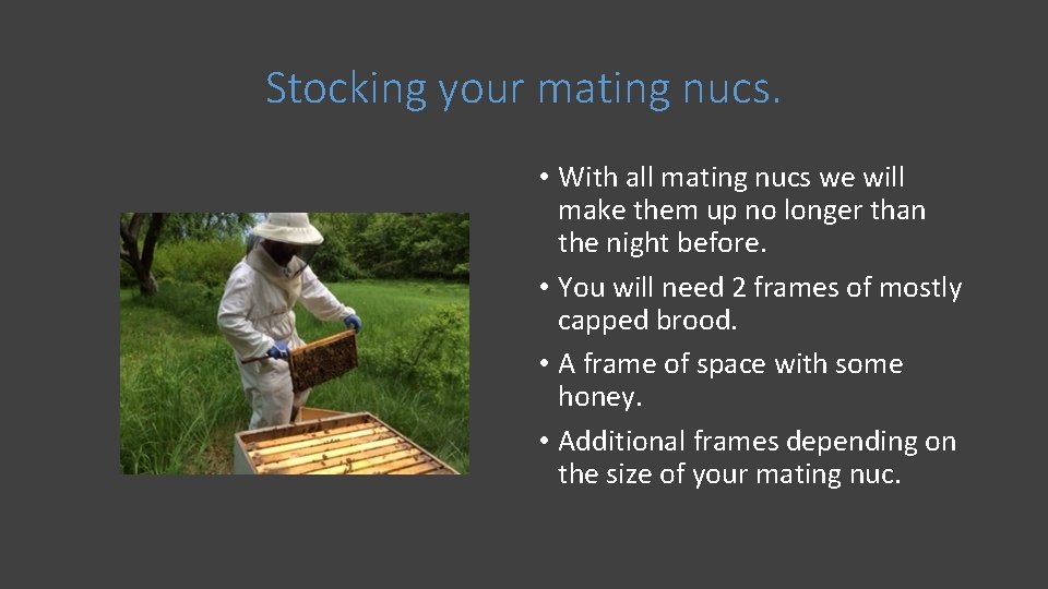 Stocking your mating nucs. • With all mating nucs we will make them up