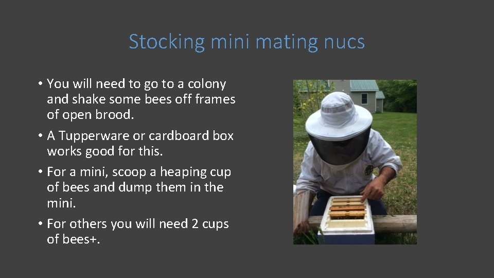 Stocking mini mating nucs • You will need to go to a colony and