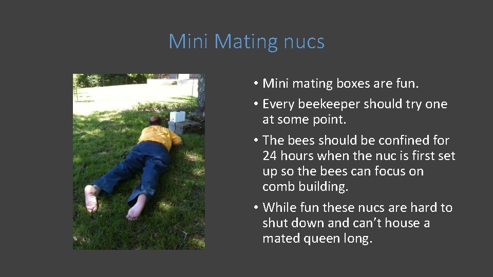 Mini Mating nucs • Mini mating boxes are fun. • Every beekeeper should try