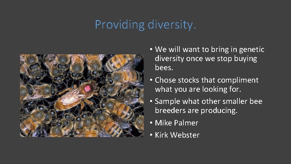 Providing diversity. • We will want to bring in genetic diversity once we stop