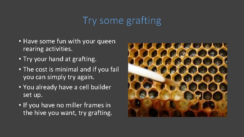 Try some grafting • Have some fun with your queen rearing activities. • Try