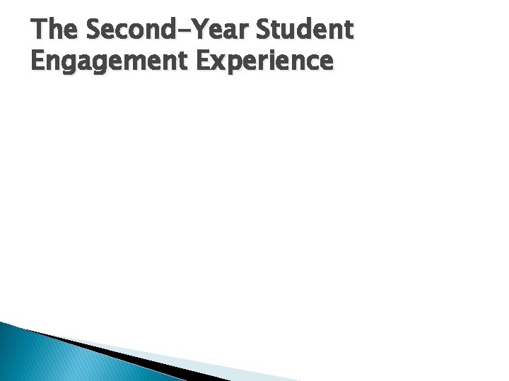 The Second-Year Student Engagement Experience 