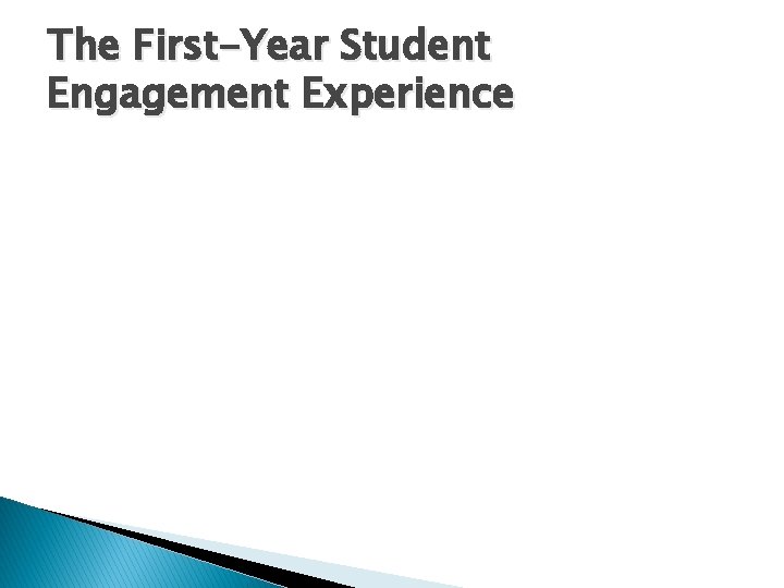 The First-Year Student Engagement Experience 