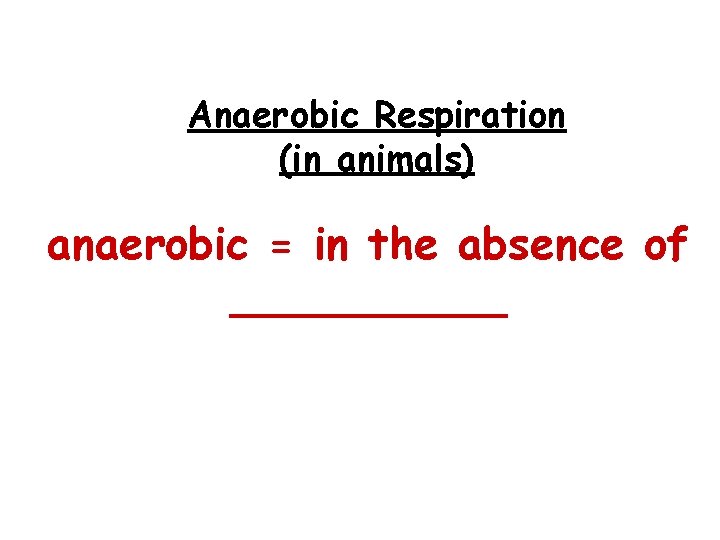 Anaerobic Respiration (in animals) anaerobic = in the absence of _____ 