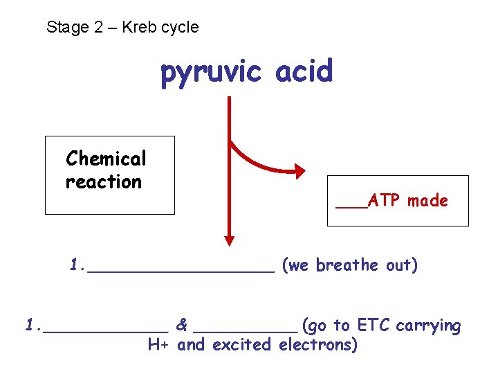 Stage 2 – Kreb cycle pyruvic acid Chemical reaction ___ATP made 1. _________ (we