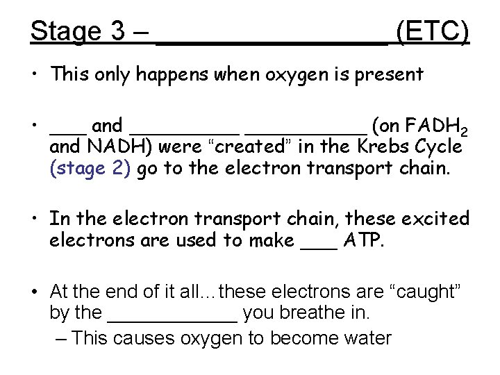 Stage 3 – ________ (ETC) • This only happens when oxygen is present •