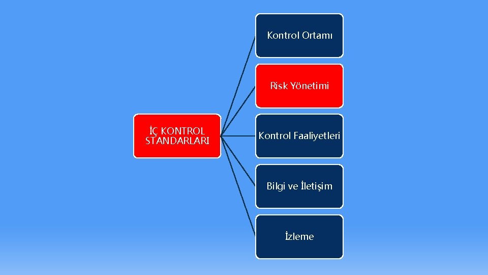Kontrol Ortamı Risk Yönetimi İÇ KONTROL STANDARLARI Kontrol Faaliyetleri Bilgi ve İletişim İzleme 