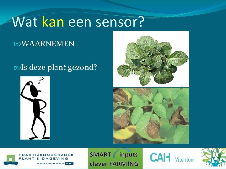 Wat kan een sensor? WAARNEMEN Is deze plant gezond? 