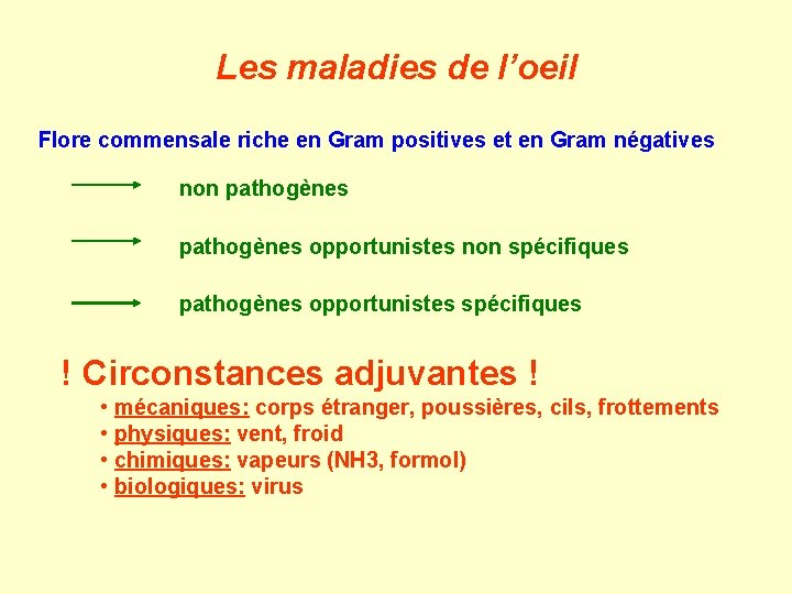 Les maladies de l’oeil Flore commensale riche en Gram positives et en Gram négatives