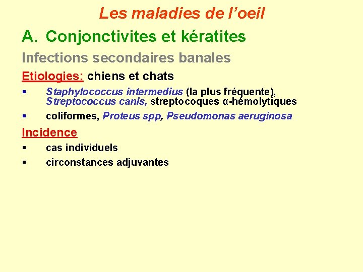 Les maladies de l’oeil A. Conjonctivites et kératites Infections secondaires banales Etiologies: chiens et